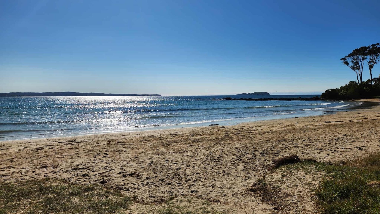 Photo of Others in Denhams Beach