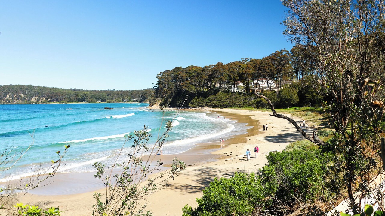 Photo of Others in Denhams Beach