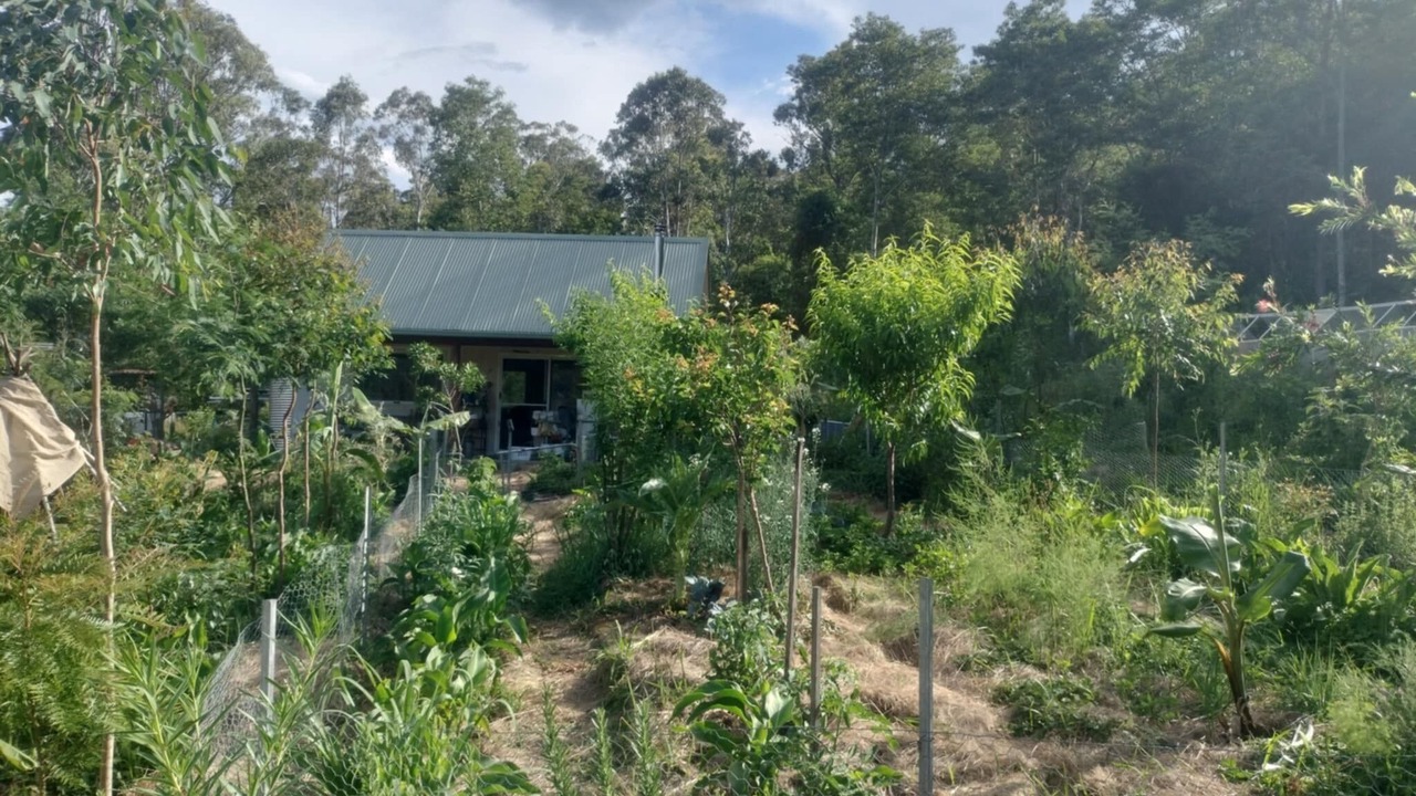 Photo of Outdoor in Koreelah