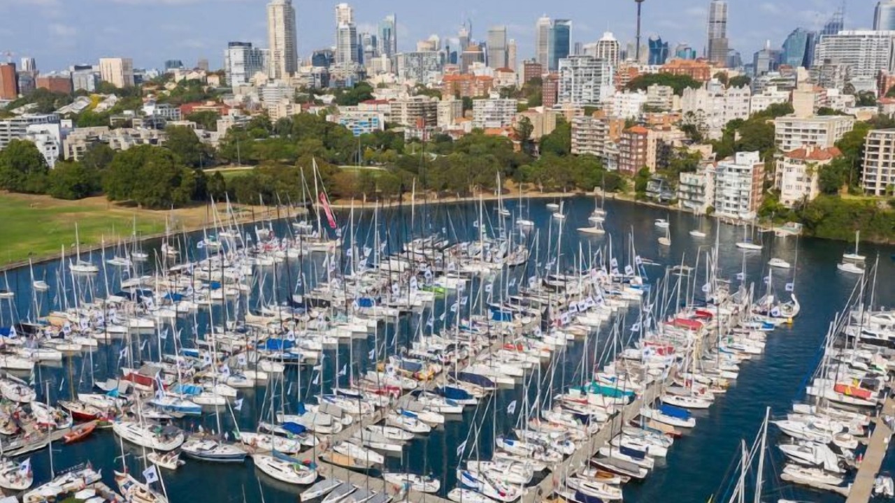 Photo of Others in Elizabeth Bay