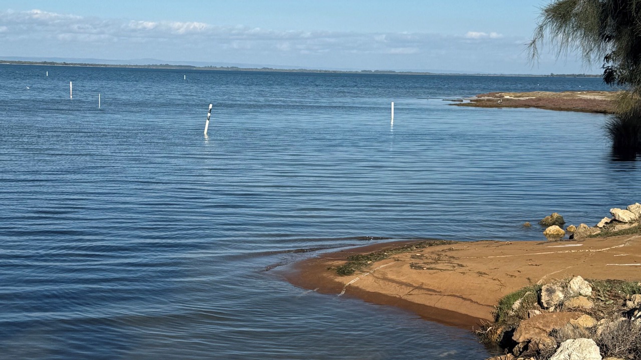 Photo of Others in Bouvard