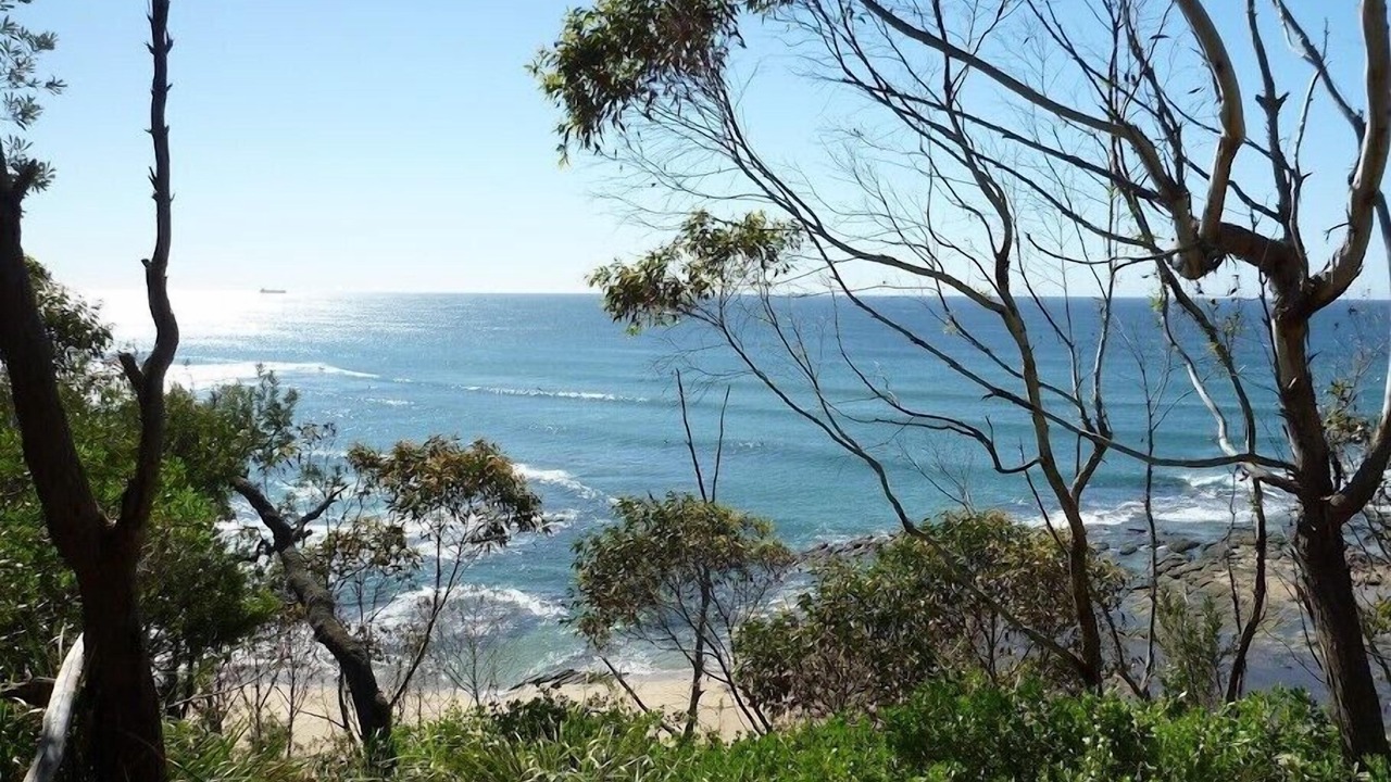 Photo of Others in Bateau Bay