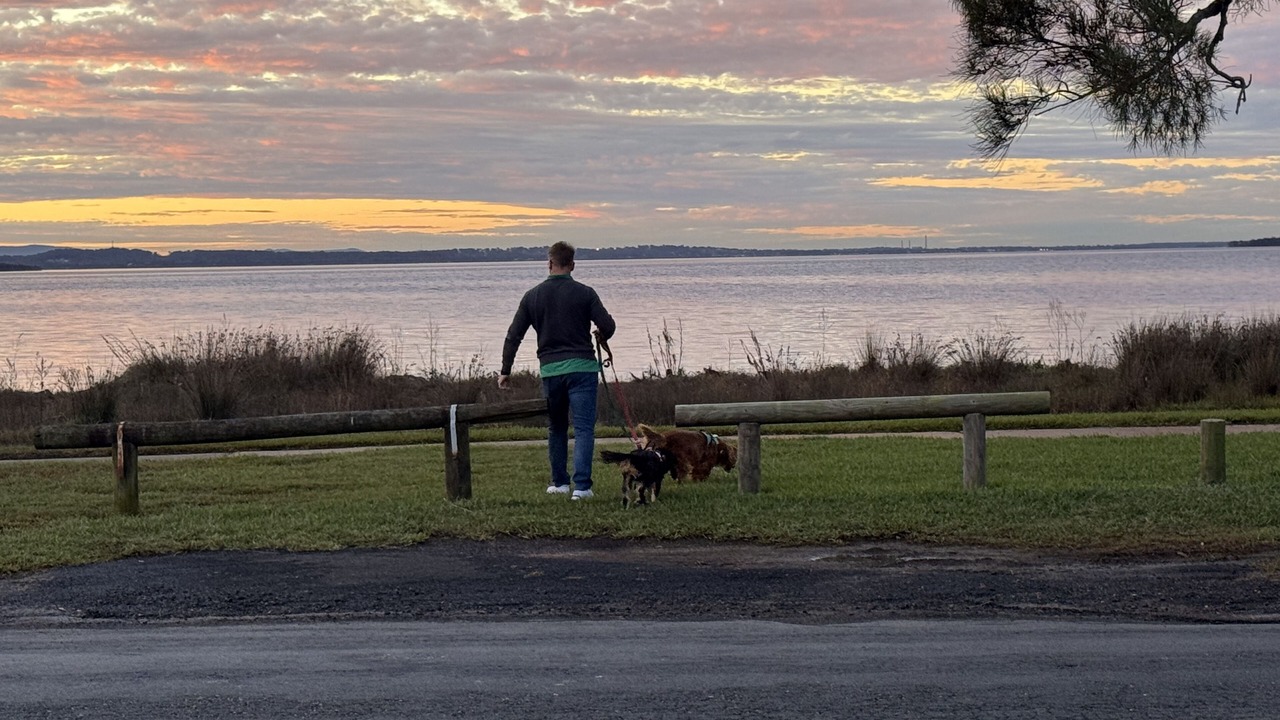 Photo of Others in Killarney Vale