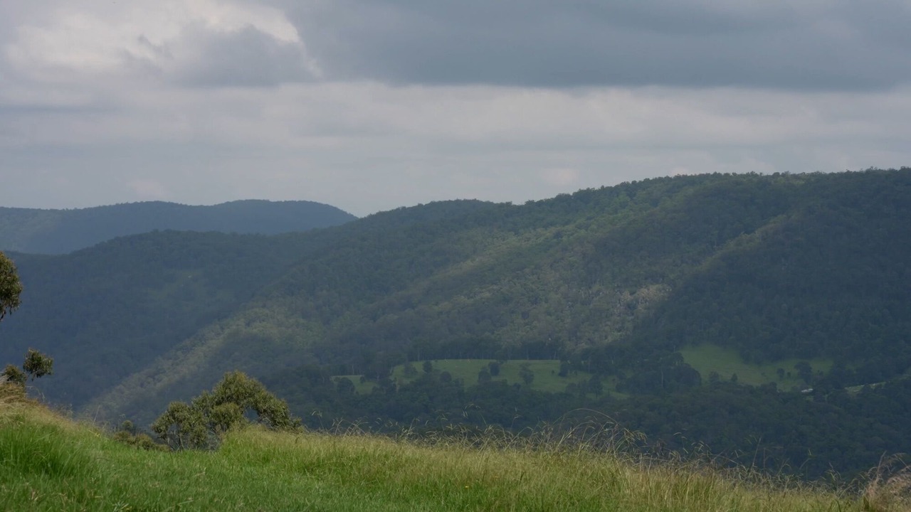 Photo of Others in Tenterfield