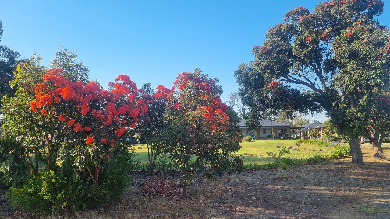 Photo of Outdoor in Duncan