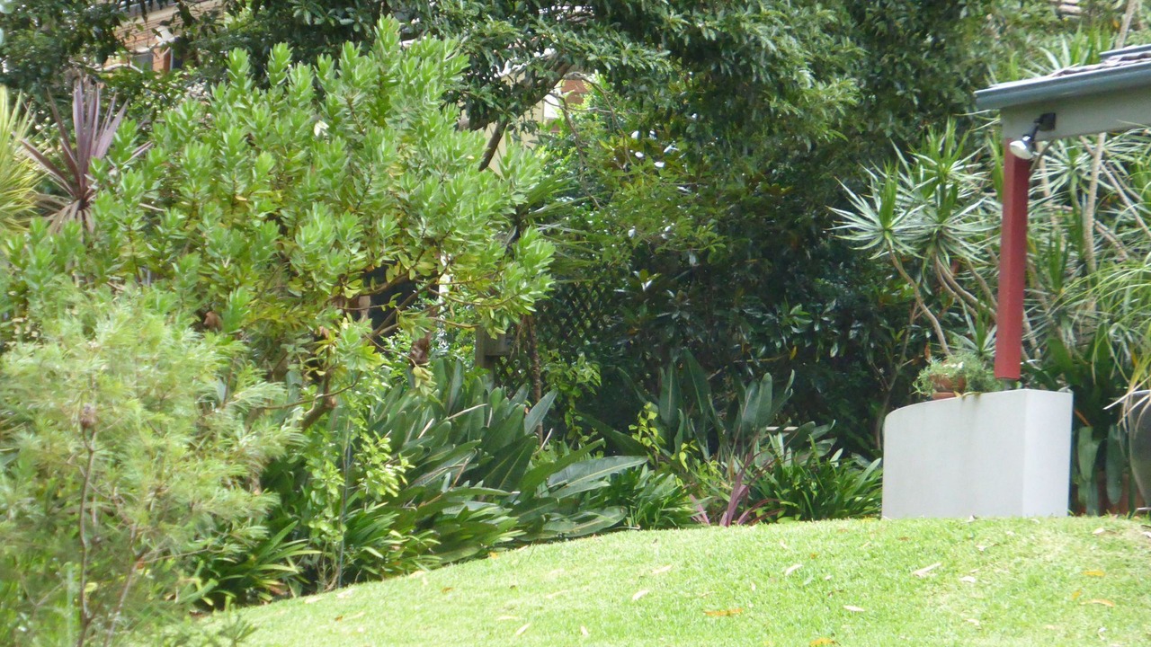 Photo of Outdoor in Hyams Beach