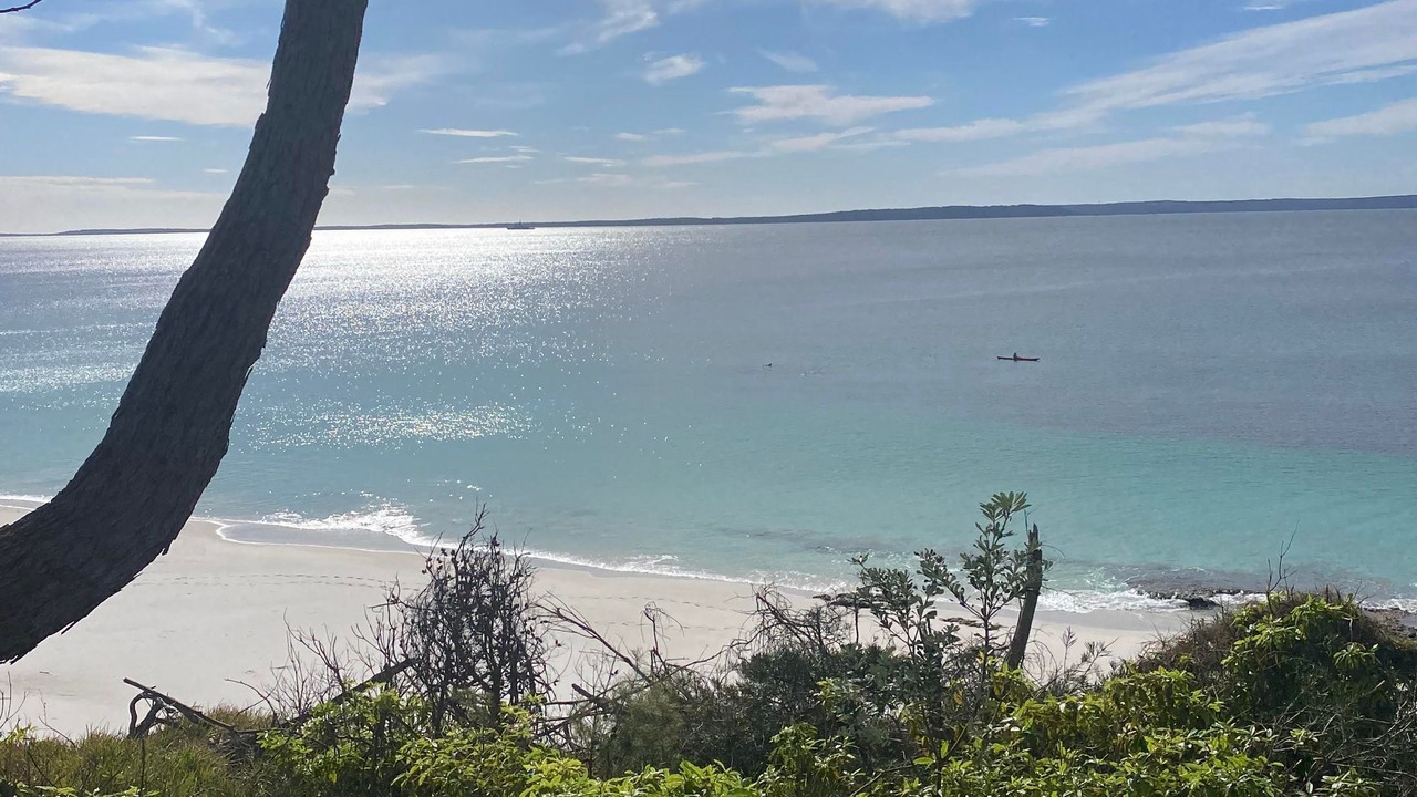 Photo of Others in Hyams Beach
