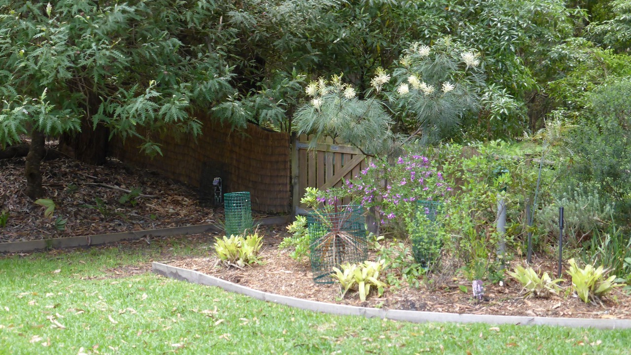 Photo of Outdoor in Hyams Beach