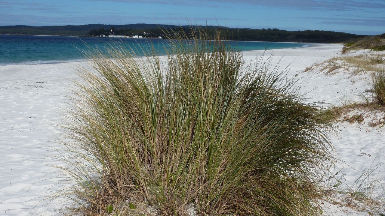 Photo of Others in Hyams Beach