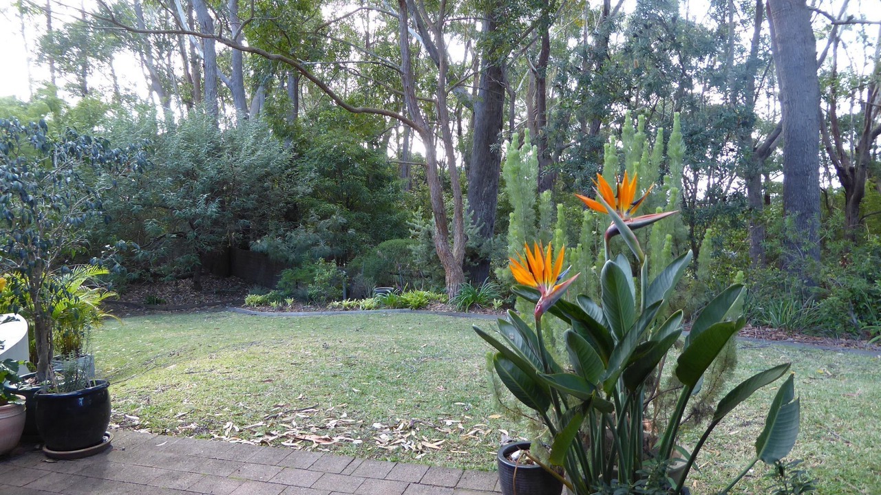 Photo of Outdoor in Hyams Beach