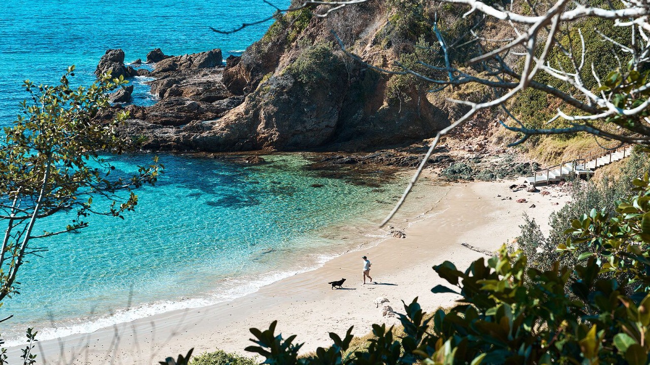 Photo of Others in Port Macquarie