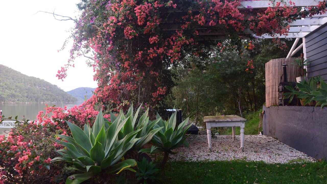 Photo of Outdoor in Sydney