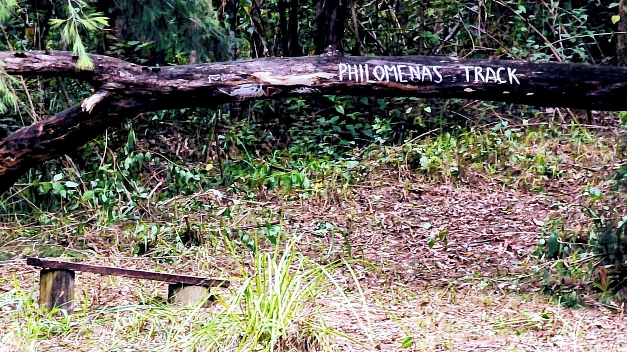 Photo of Others in Upper Orara