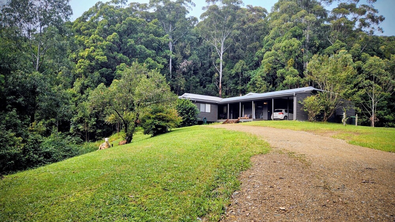 Photo of Outdoor in Upper Orara