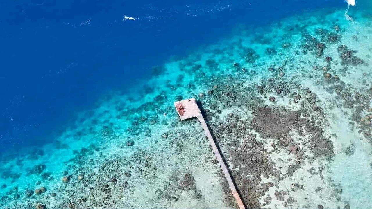Photo of Outdoor in Moorea-Maiao