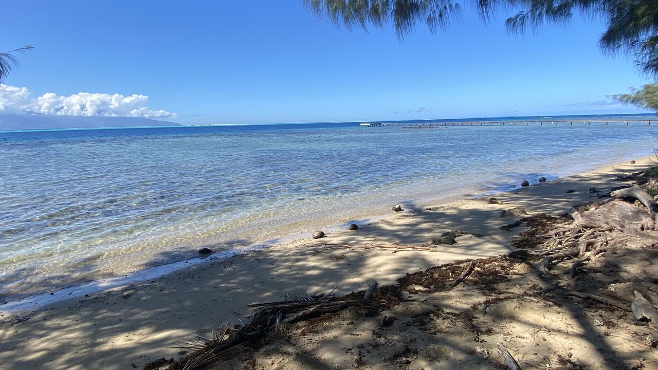 Photo of Others in Moorea-Maiao