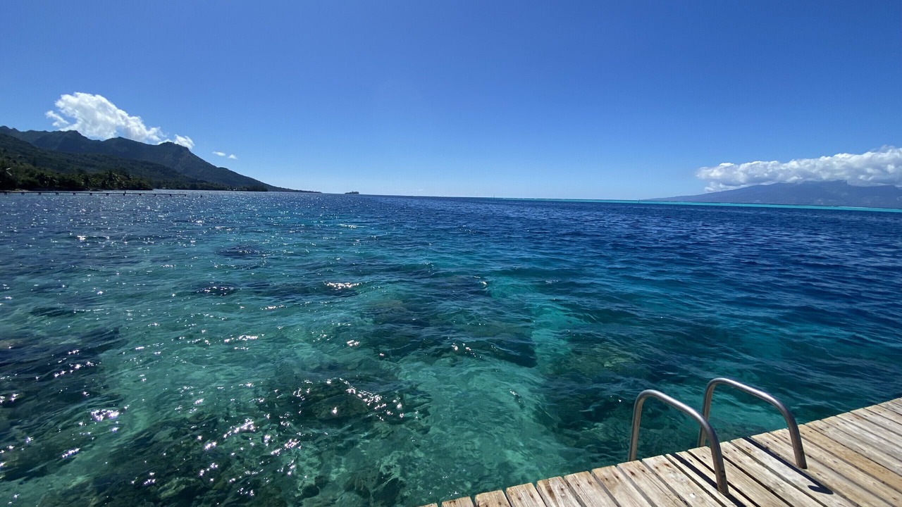 Photo of Others in Moorea-Maiao