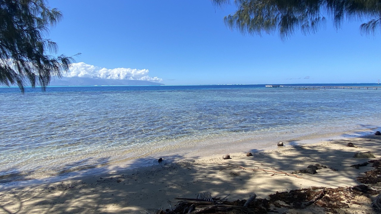 Photo of Others in Moorea-Maiao