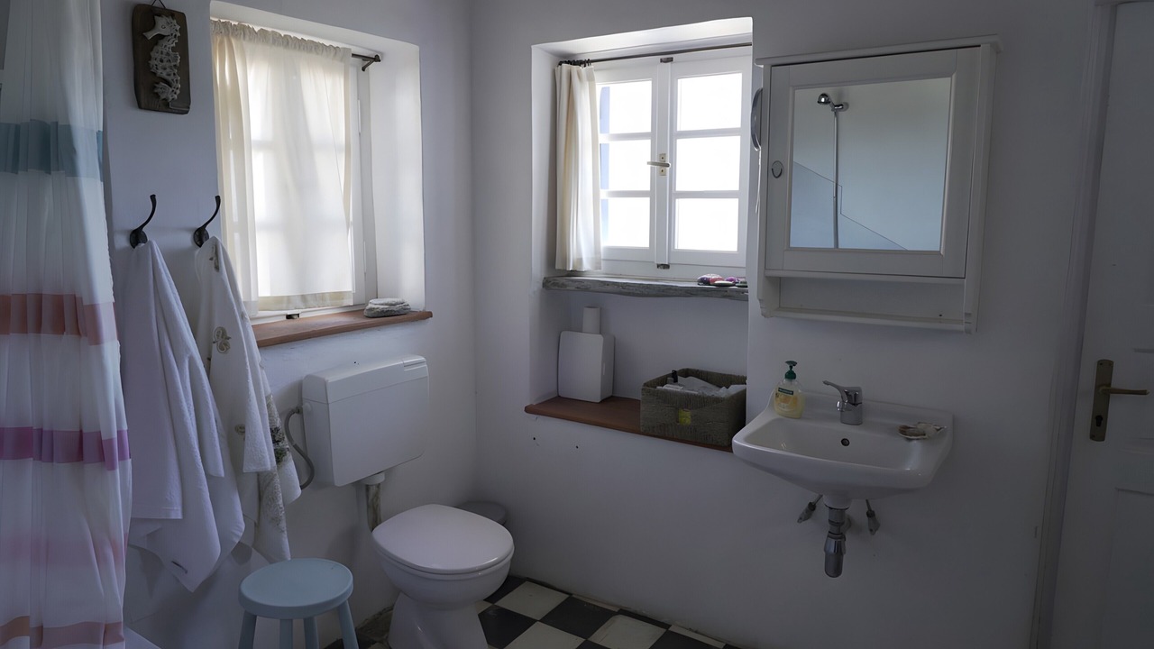 Photo of Bathroom in Andros Town