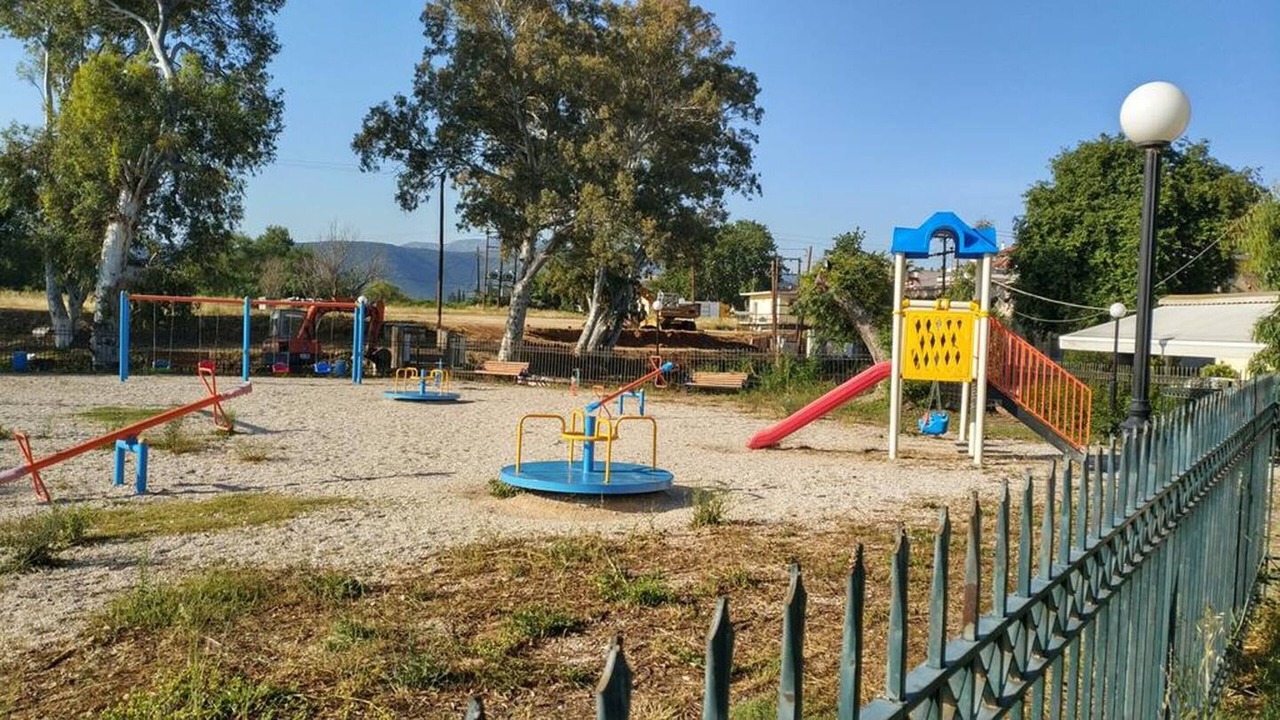 Photo of Others in Mili