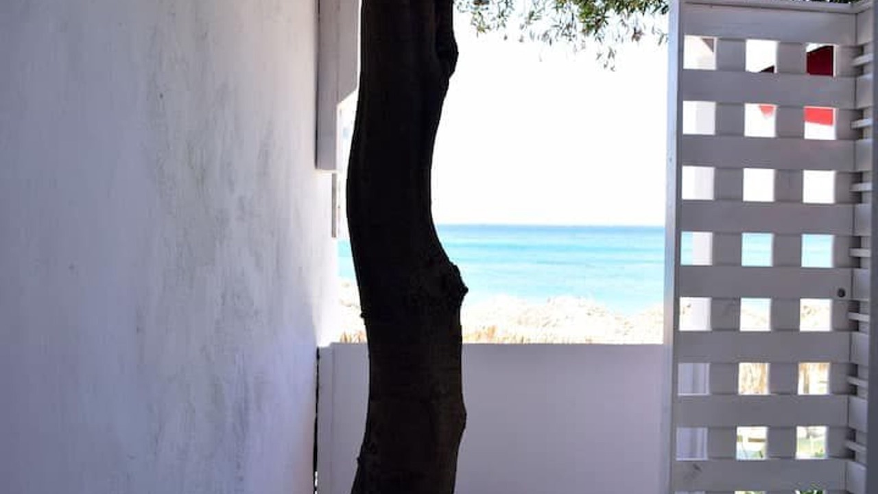 Photo of Outdoor in Agios Stefanos