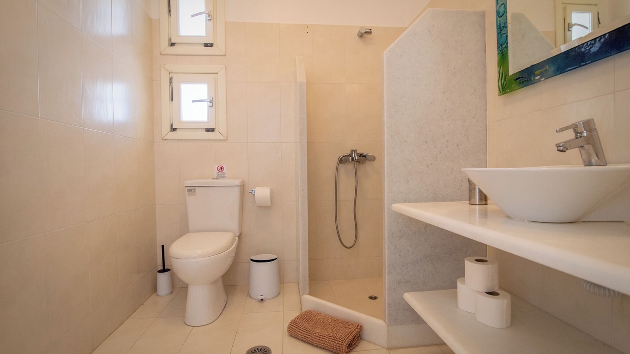 Photo of Bathroom in Naxos