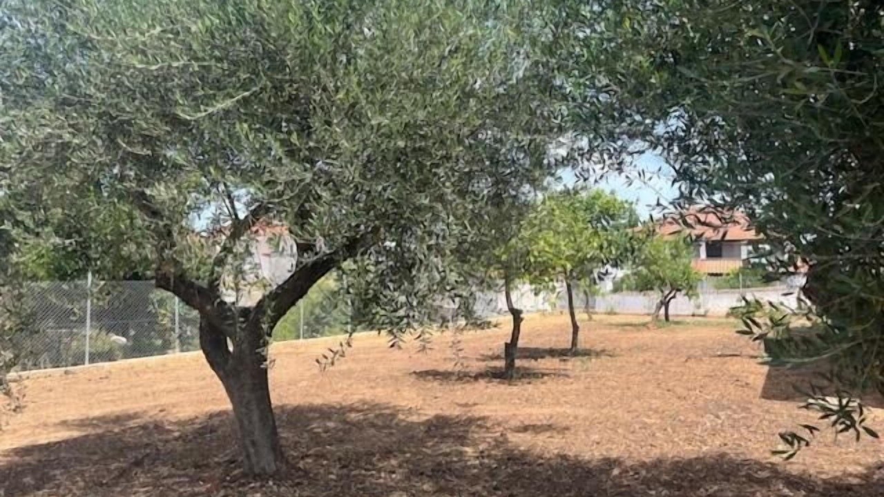 Photo of Outdoor in Anemomilos