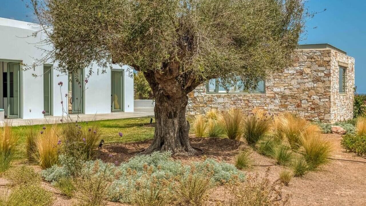 Photo of Outdoor in Paros