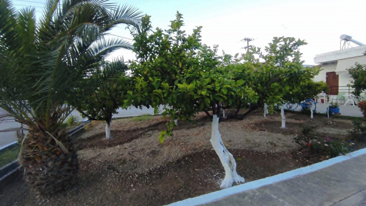 Photo of Outdoor in Kolymbia
