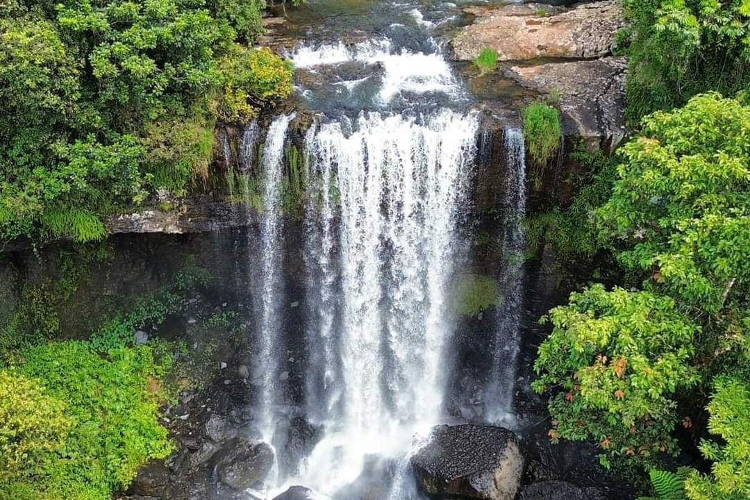 Photo of Others in Millaa Millaa