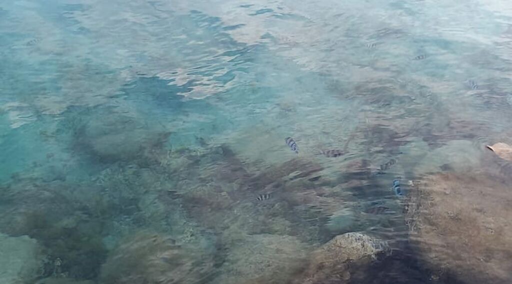Photo of Outdoor in Teahupoo