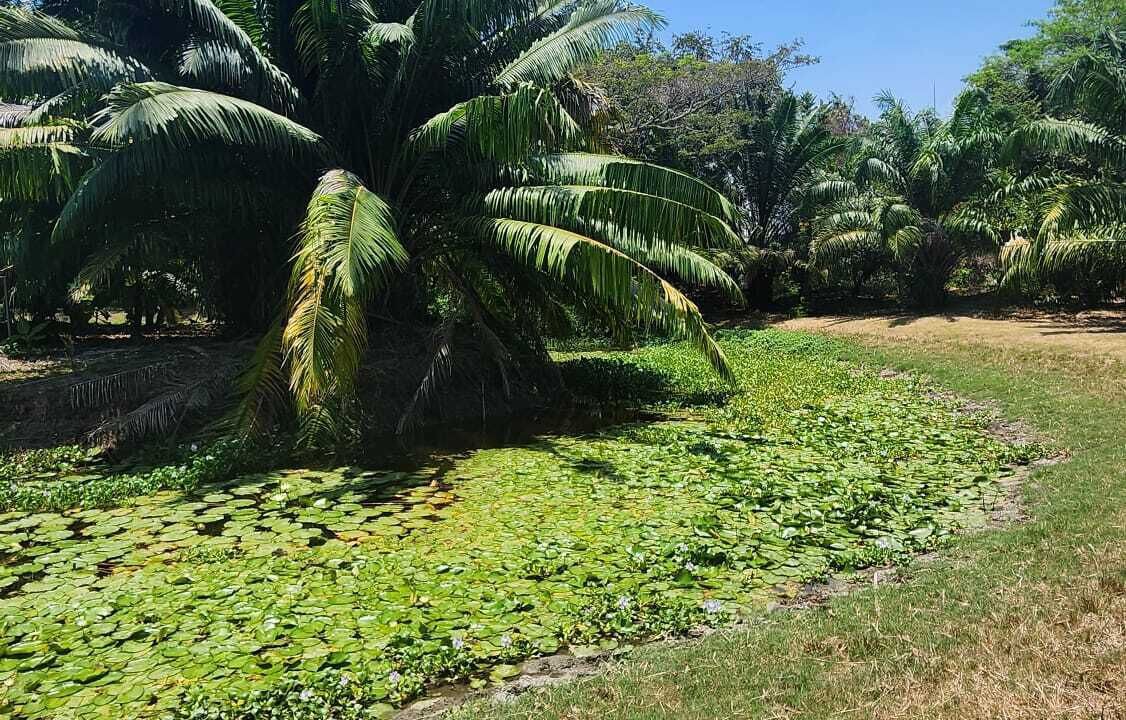 Photo of Outdoor in Tambor