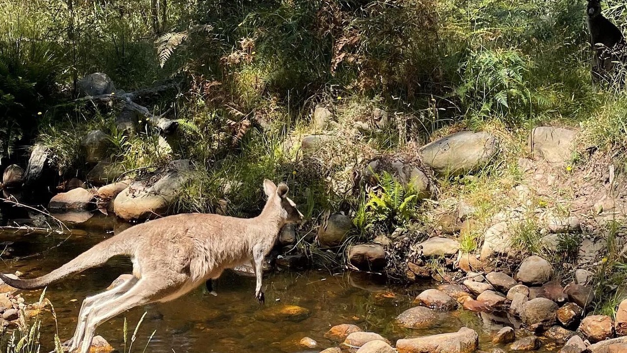 Photo of Outdoor in Halls Gap