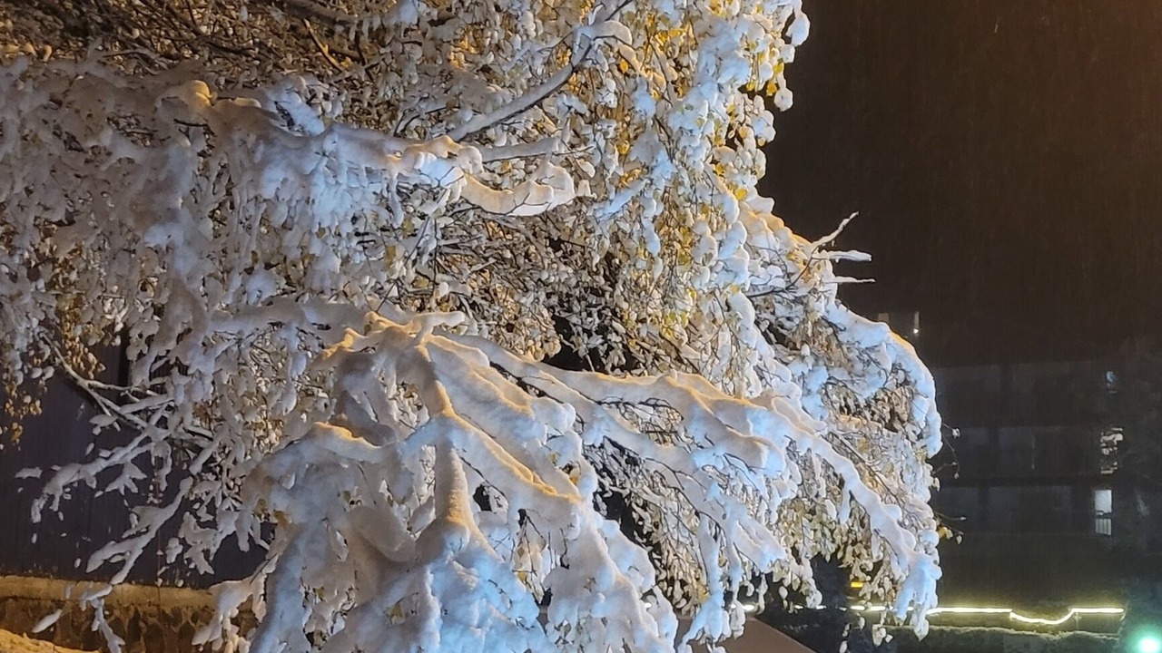 Photo of Outdoor in Berridale