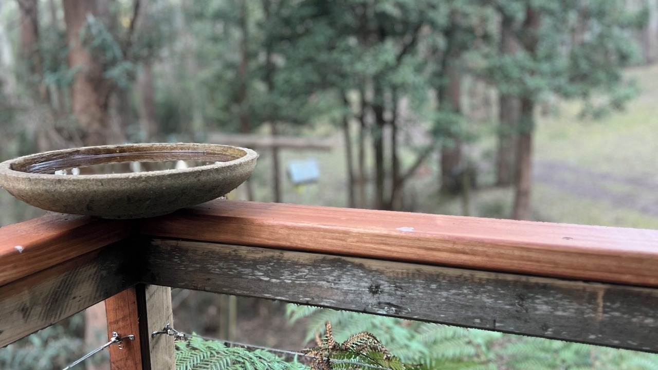 Photo of Outdoor in Tolmie