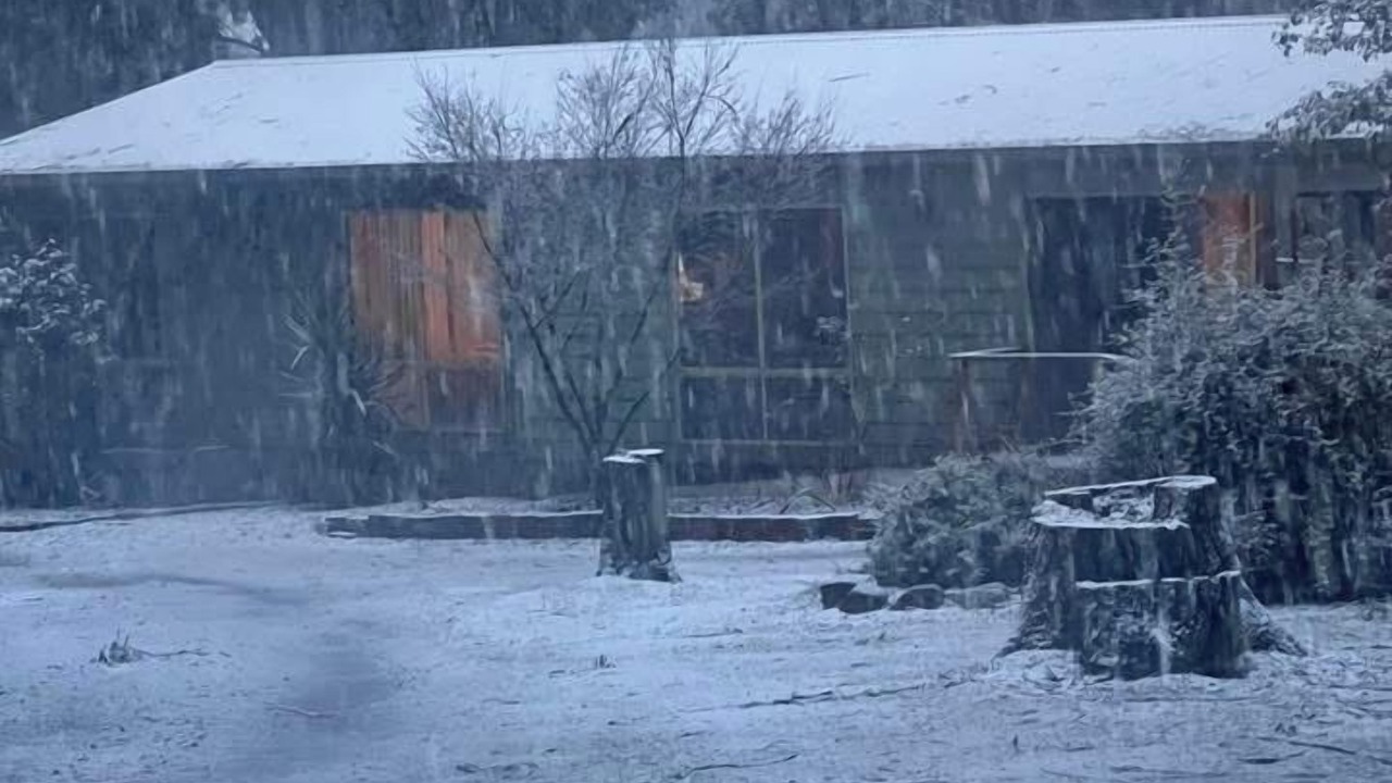 Photo of Outdoor in Tolmie