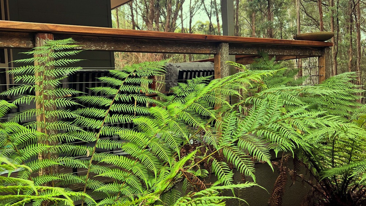 Photo of Outdoor in Tolmie