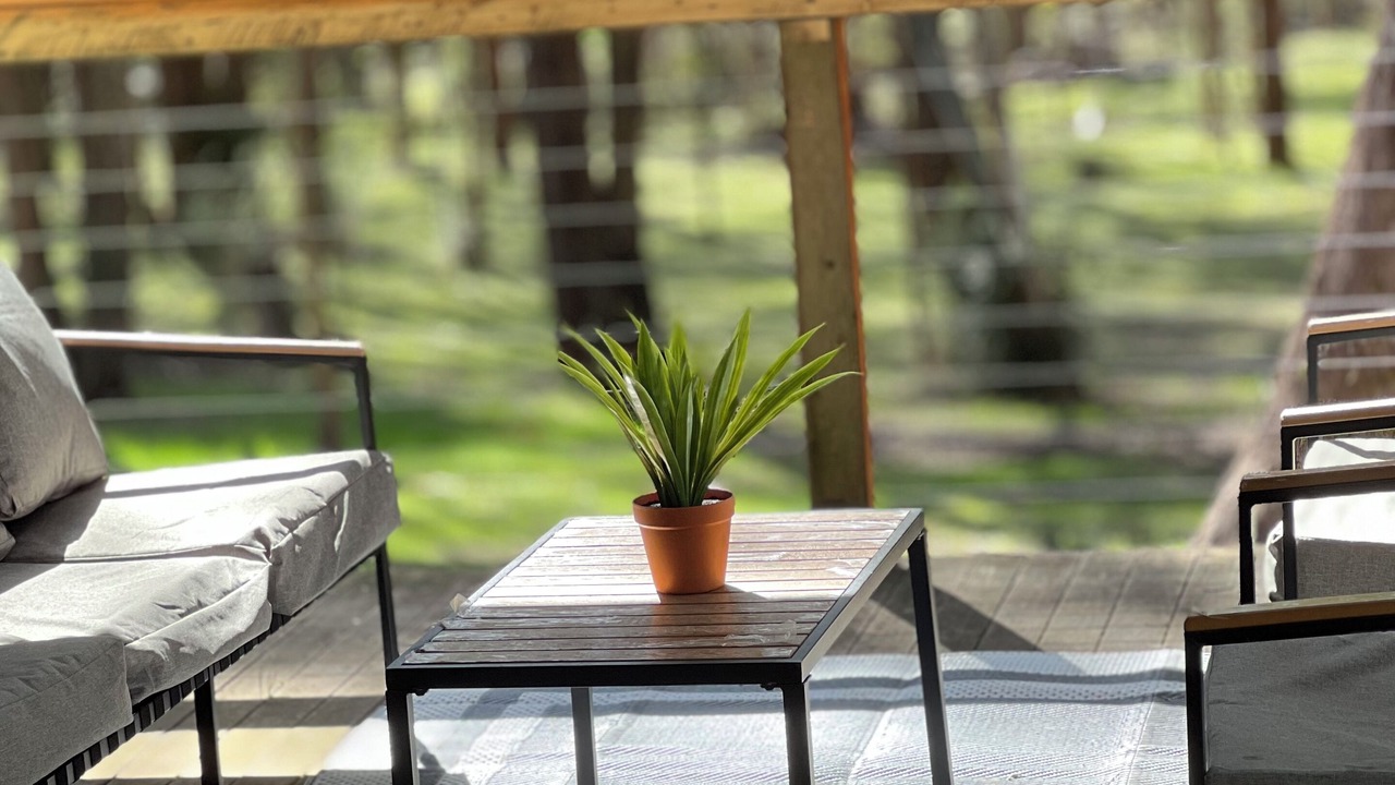 Photo of Patio Balcony in Tolmie