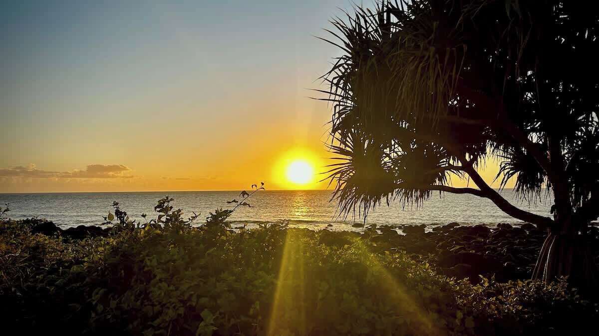 Photo of Others in Bargara