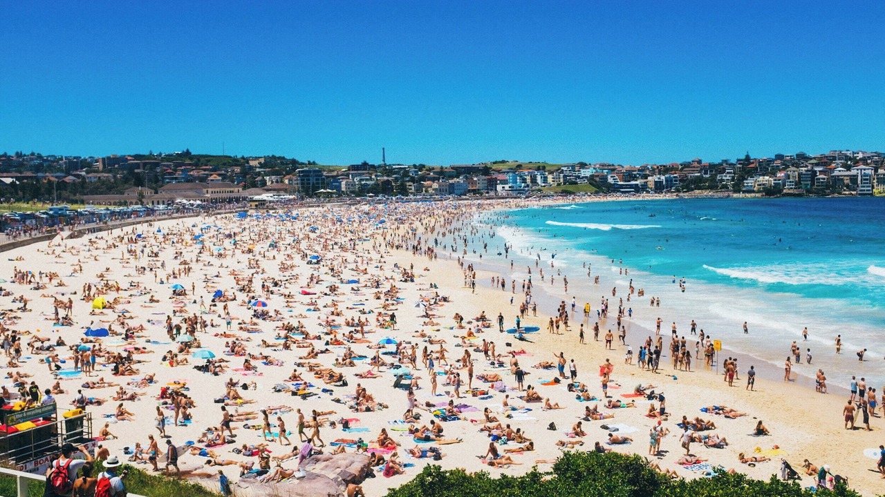 Photo of Others in Bondi