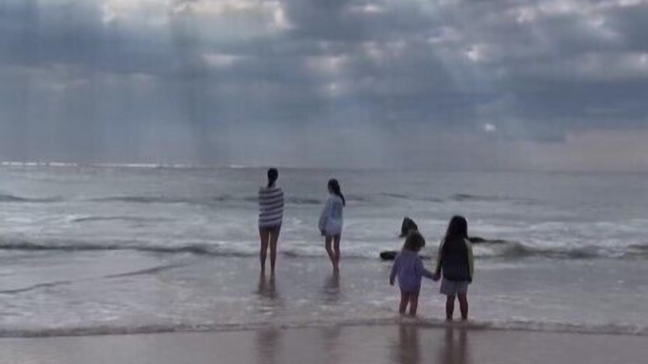 Photo of Others in Magenta Shores