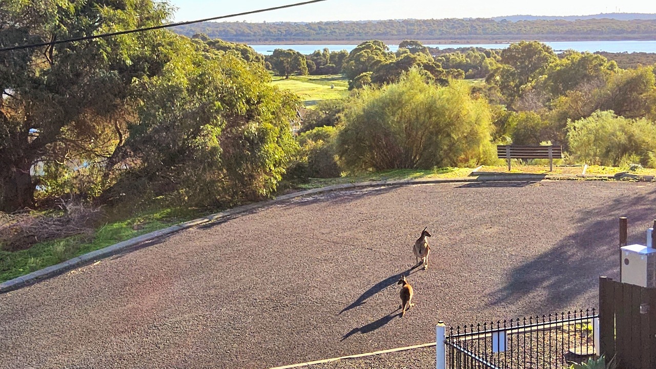 Photo of Outdoor in Preston Beach
