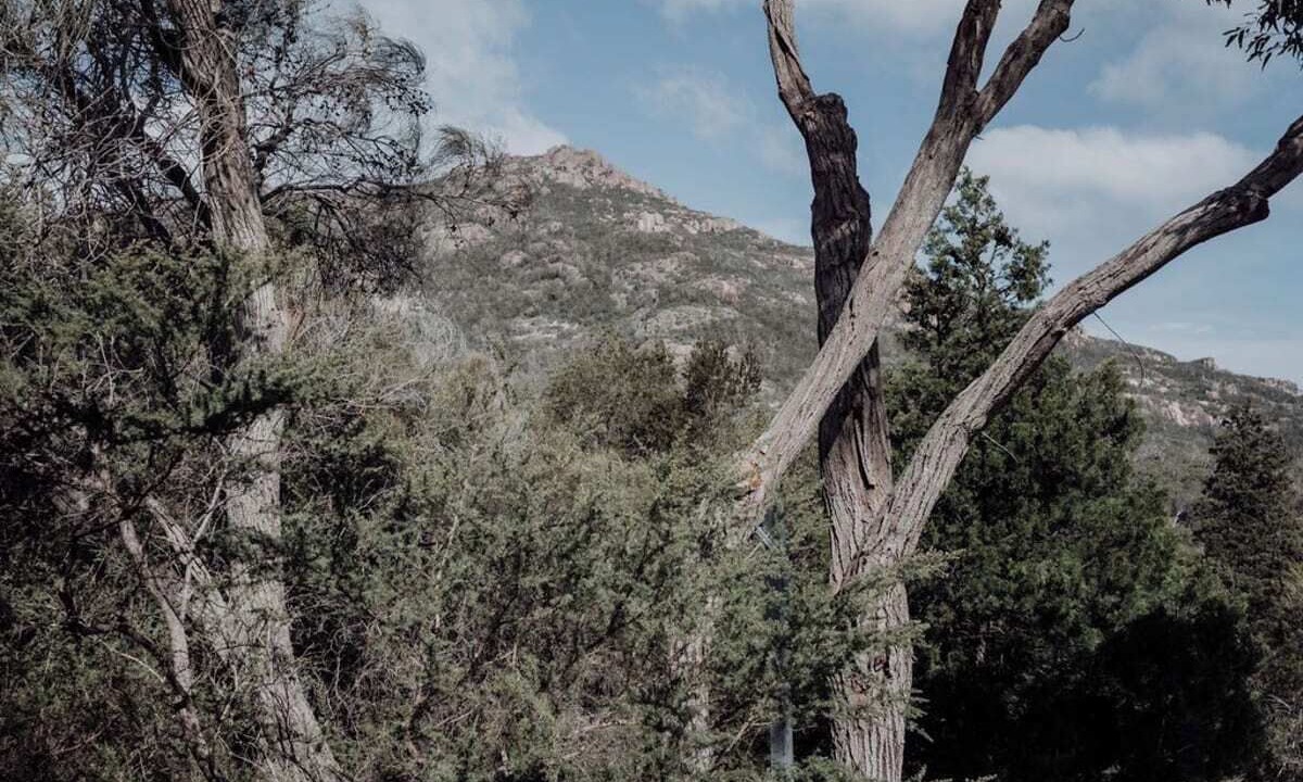 Photo of Others in Freycinet