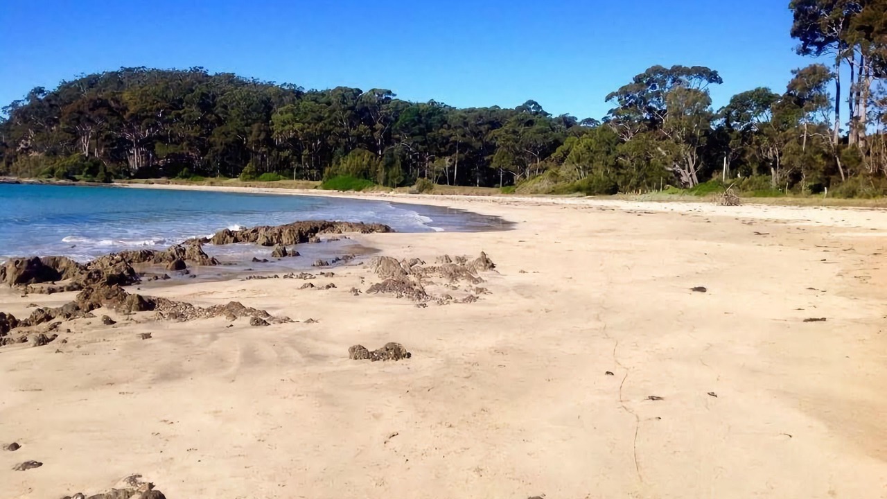 Photo of Others in Surf Beach