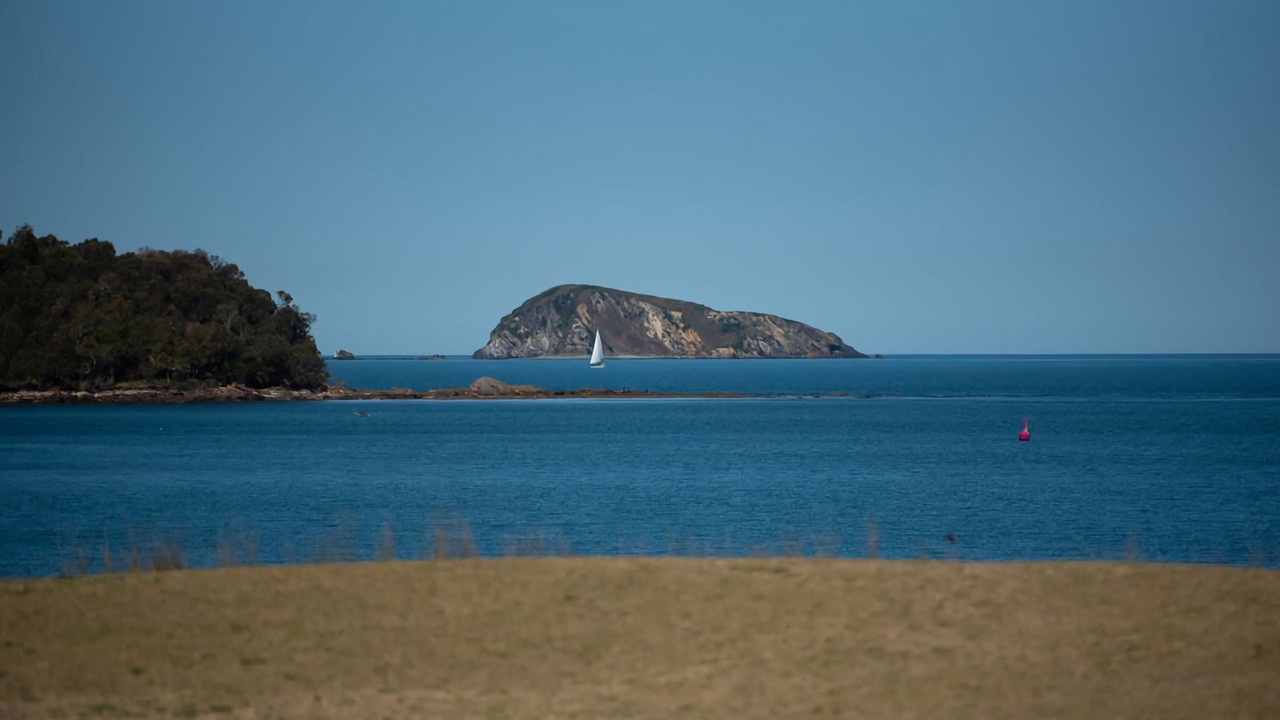 Photo of Others in Maloneys Beach