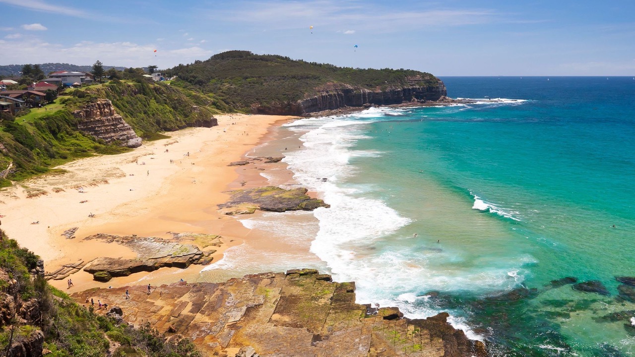 Photo of Others in North Narrabeen