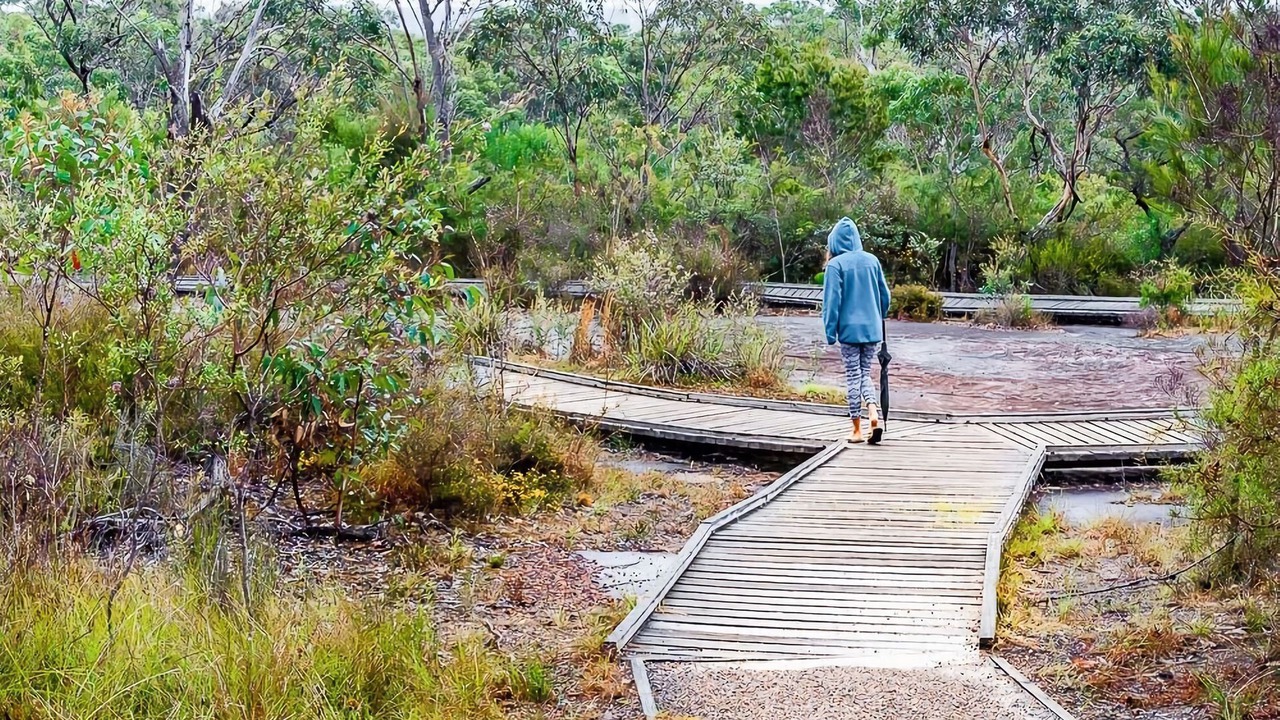 Photo of Others in Umina Beach