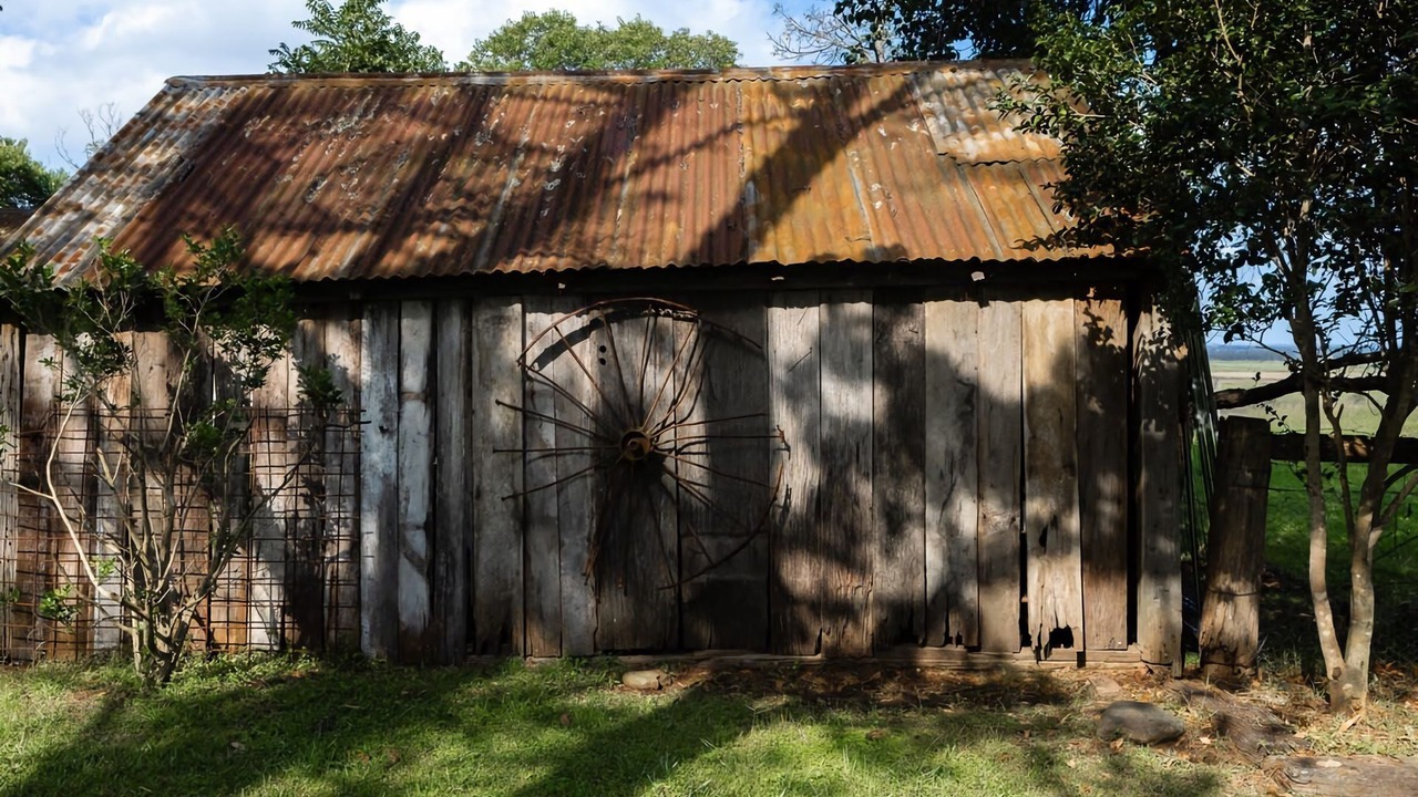 Photo of Outdoor in Meroo Meadow