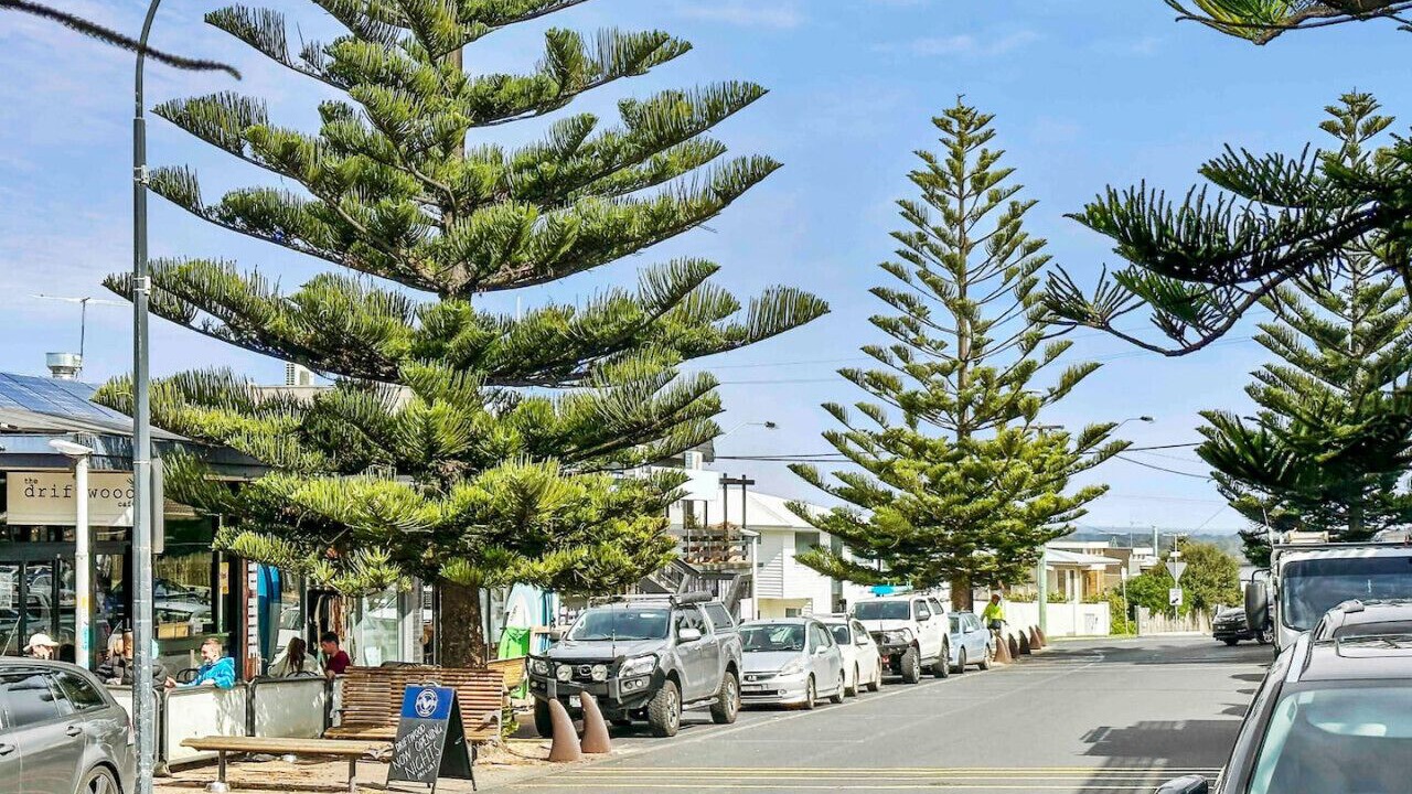Photo of Others in Ocean Grove