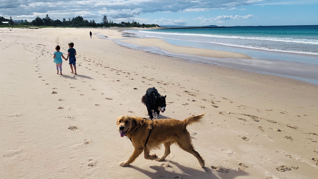 Photo of Others in Shellharbour